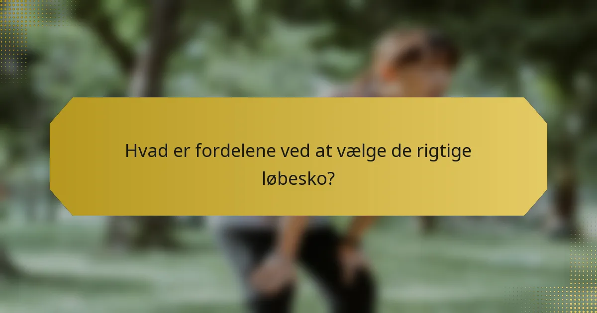 Hvad er fordelene ved at vælge de rigtige løbesko?
