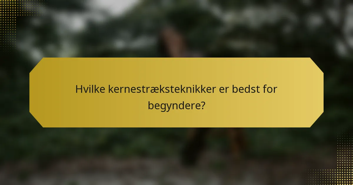 Hvilke kernestræksteknikker er bedst for begyndere?