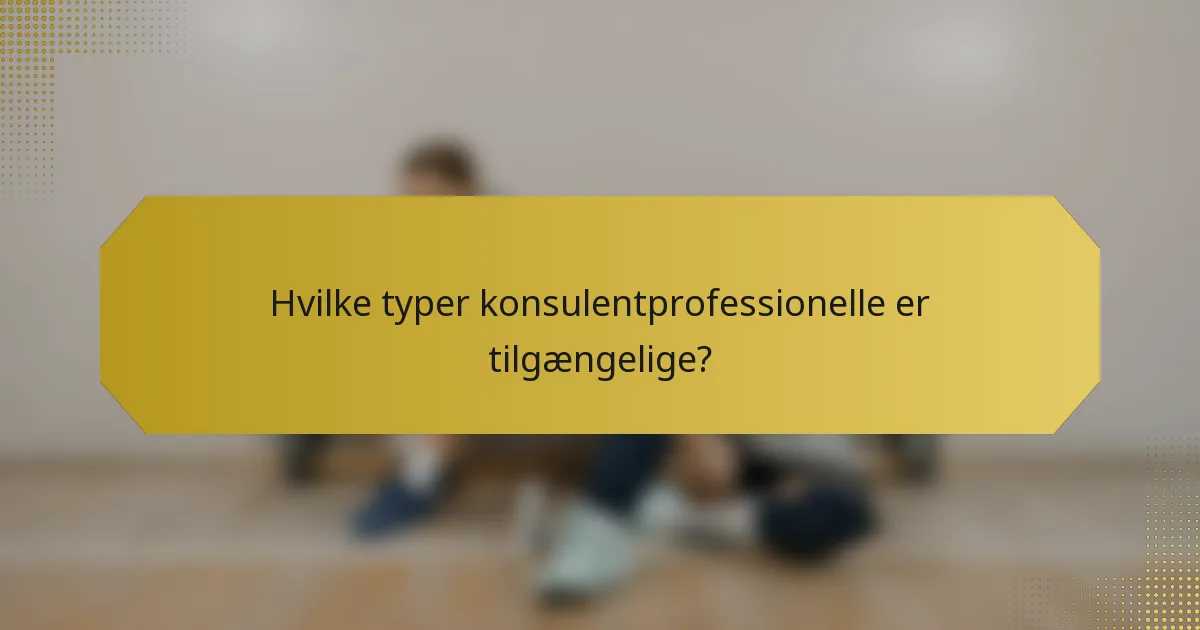 Hvilke typer konsulentprofessionelle er tilgængelige?
