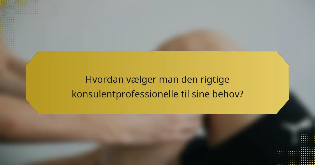 Hvordan vælger man den rigtige konsulentprofessionelle til sine behov?